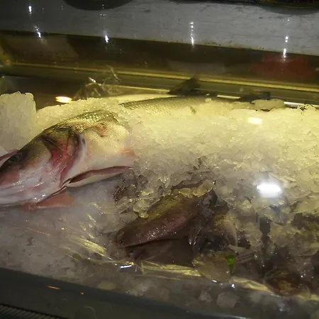 卡伊科酒店